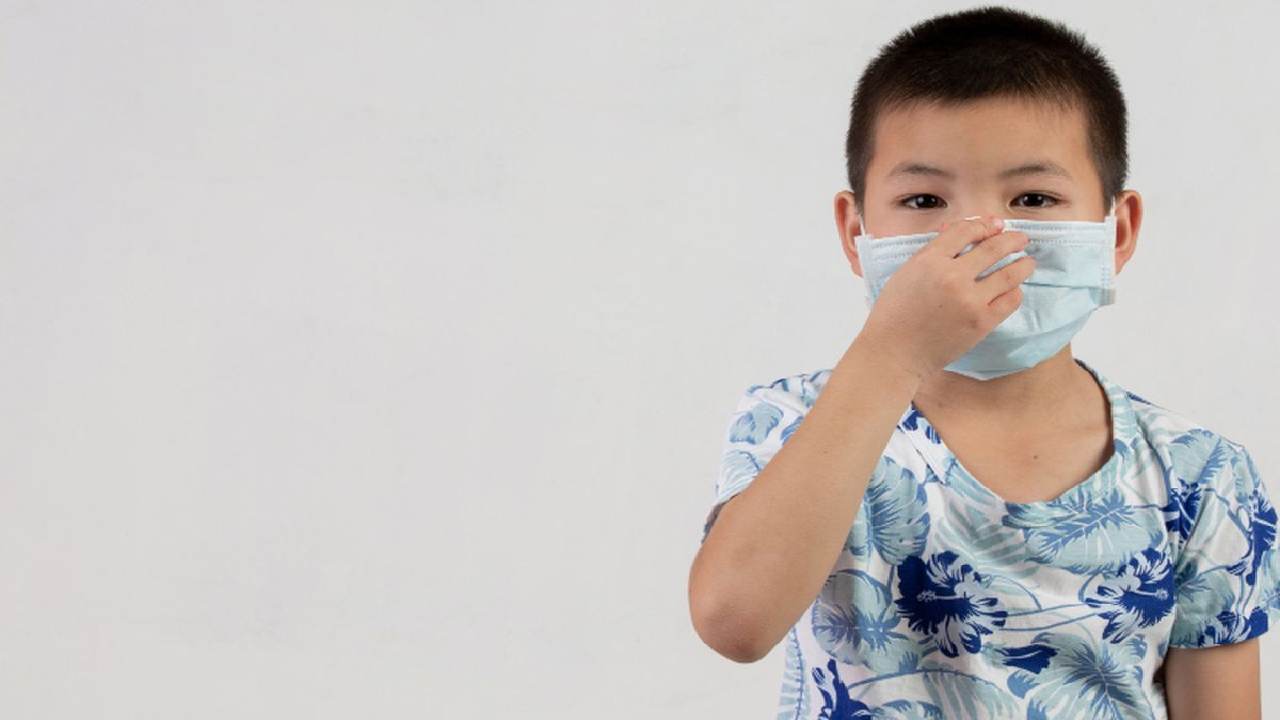 Memahami Perbedaan Gejala Nipah dan Flu Biasa, IDAI Jelaskan Perbedaannya Secara Kritis