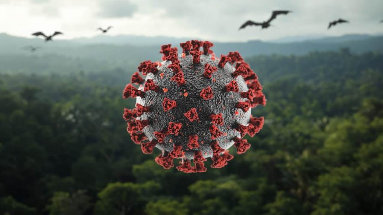 Kenali Gejala Virus Nipah Sejak Dini, Waspadai Penyakit Infeksi Berisiko Tinggi