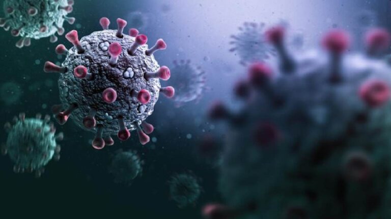 Covid-19 Cicada Menyebar Global: Dari Deteksi Awal hingga Ancaman Nyata di Puluhan Negara